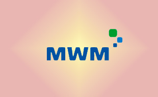 ✓ MWM 12319913 Клапан впускной 